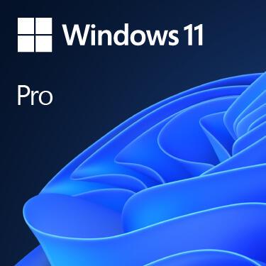 Microsoft Operating System Licence Windows 11 Pro Englisch / FQC-10528