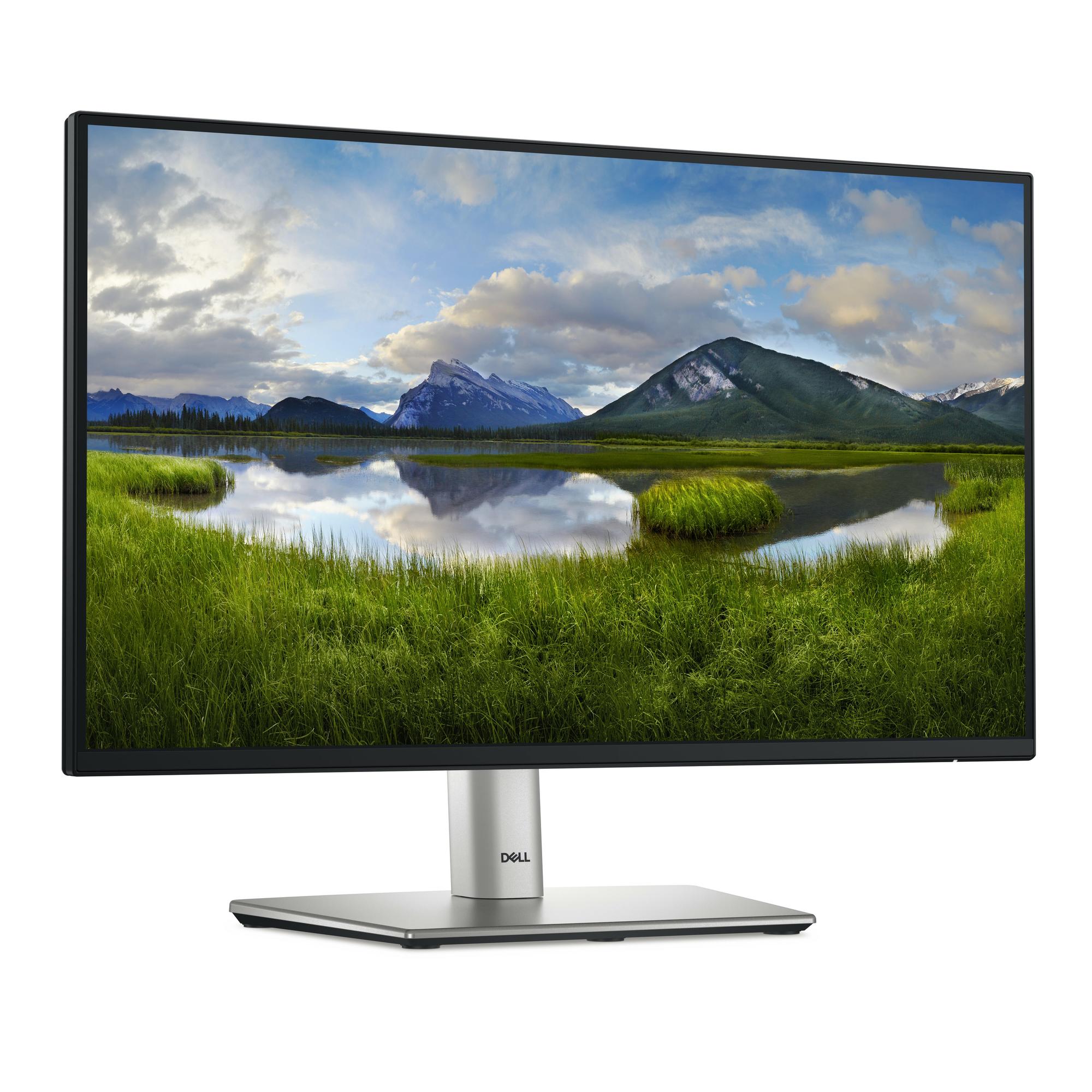 DELL Monitor P2225H / 210-BMHD Negro, plata 54,6 cm (21,5")