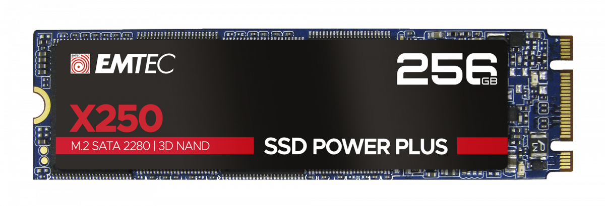 EMTEC M.2 SSD X250 256GB / ECSSD256GX250 Nero