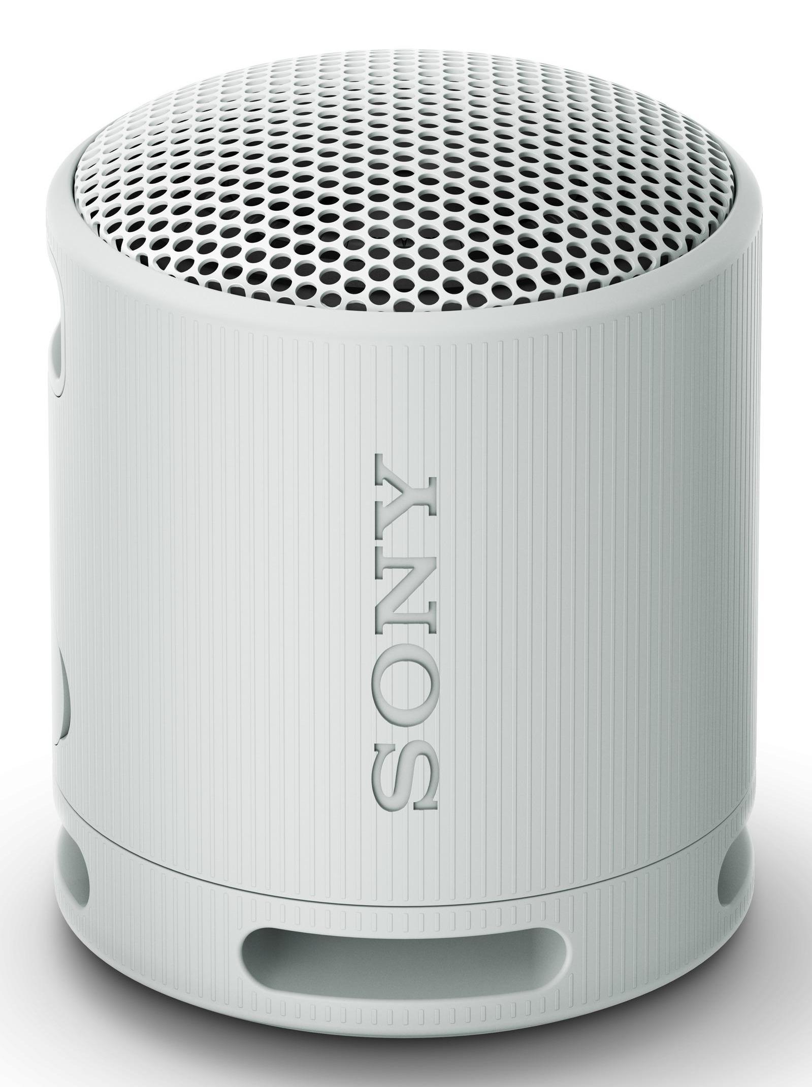 Sony Altoparlante SRS-XB100 / SRSXB100H.CE7 Grigio