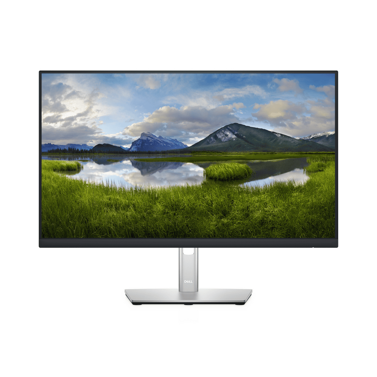 Dell Monitor P2422H / 210-AZYX Schwarz (23,8 ")