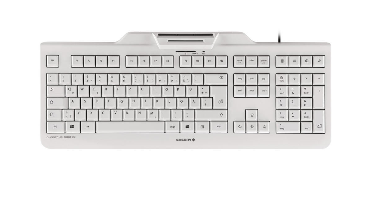 Cherry Keyboard KCSCG / JK-A0100DE-0 Gray