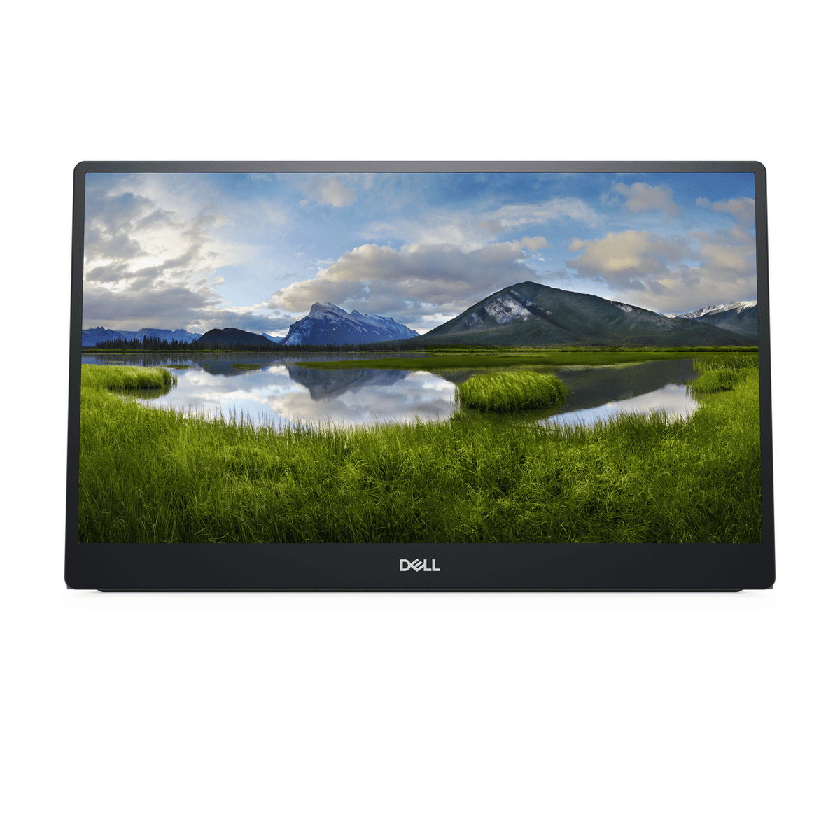 Dell Monitor P1424H / 210-BHQQ Schwarz