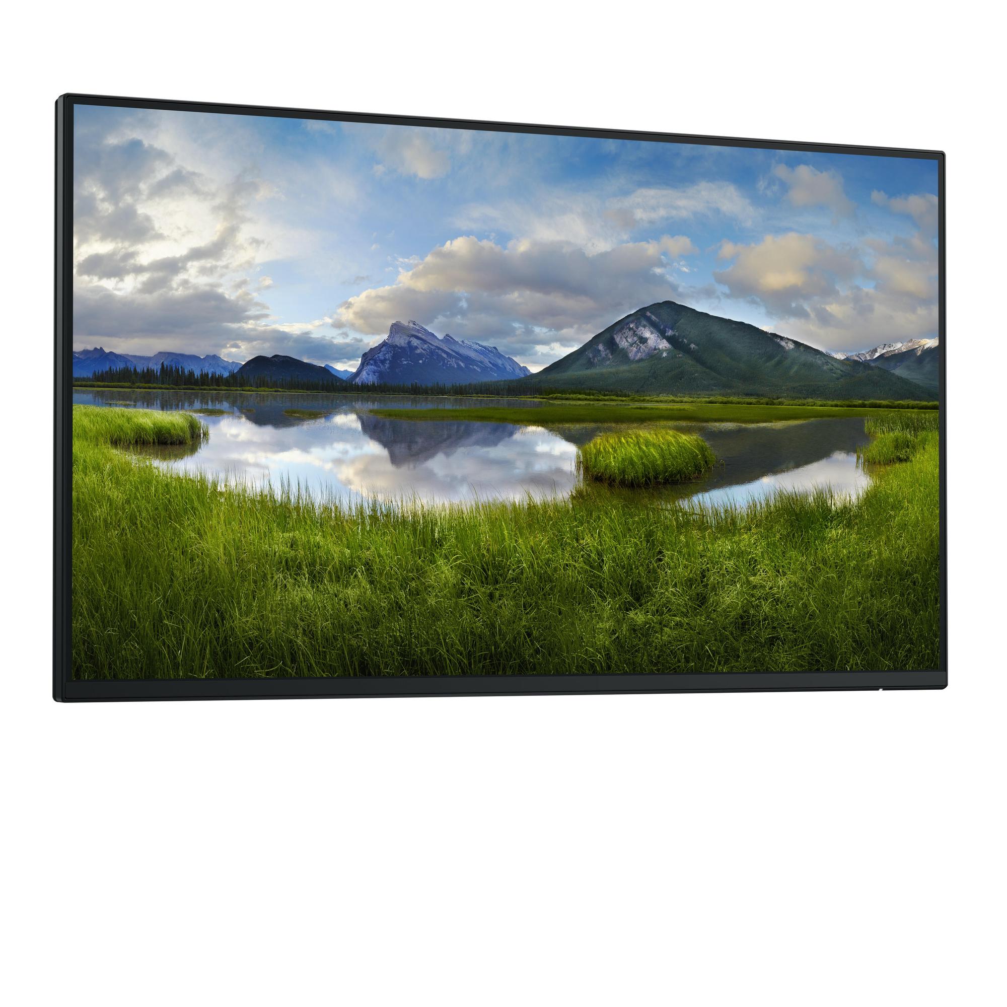 DELL Monitor P2425HWO / 210-BMTB Negro 61 cm (24")
