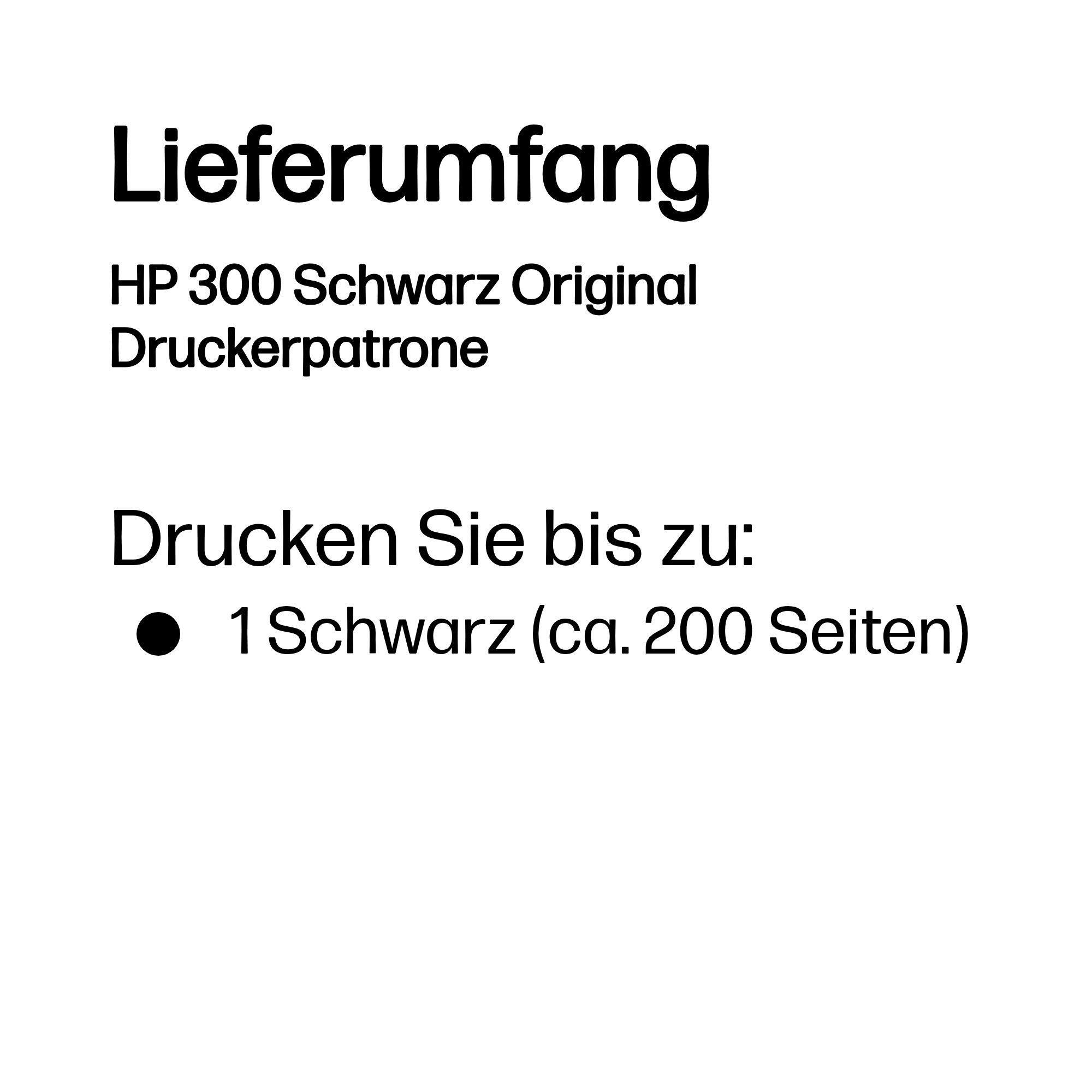 HP Tinta 300 / CC640EE Negro Standard