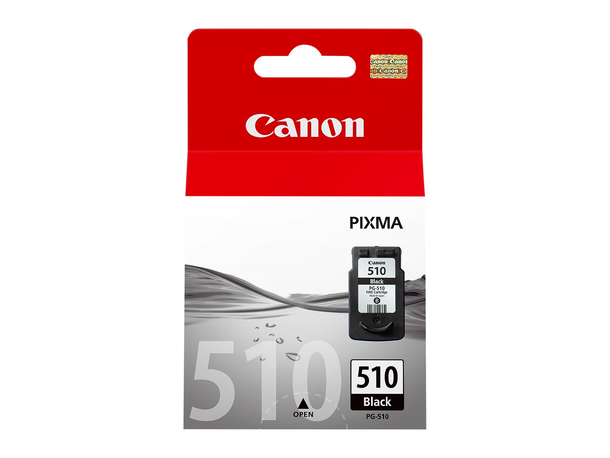 Canon Encre PG-510 / 2970B001 Noir