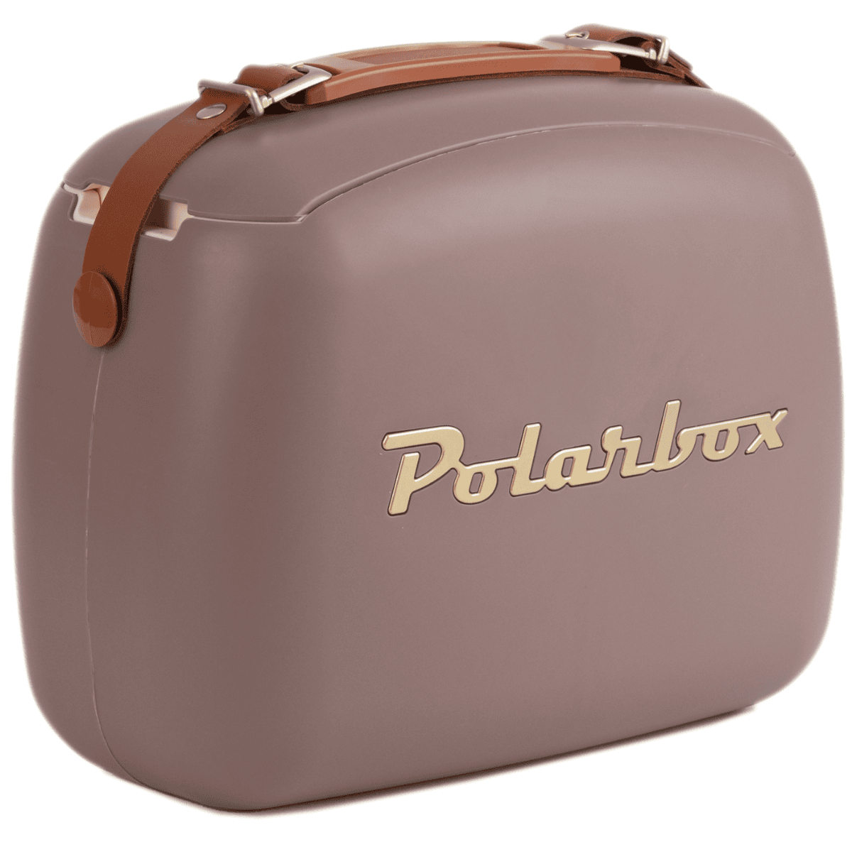 Polarbox Nevera portátil Mauve-Gold 6L / AXROACTION4 Marrón Polarbox Nevera portátil Mauve-Gold 6L / AXROACTION4 Marrón