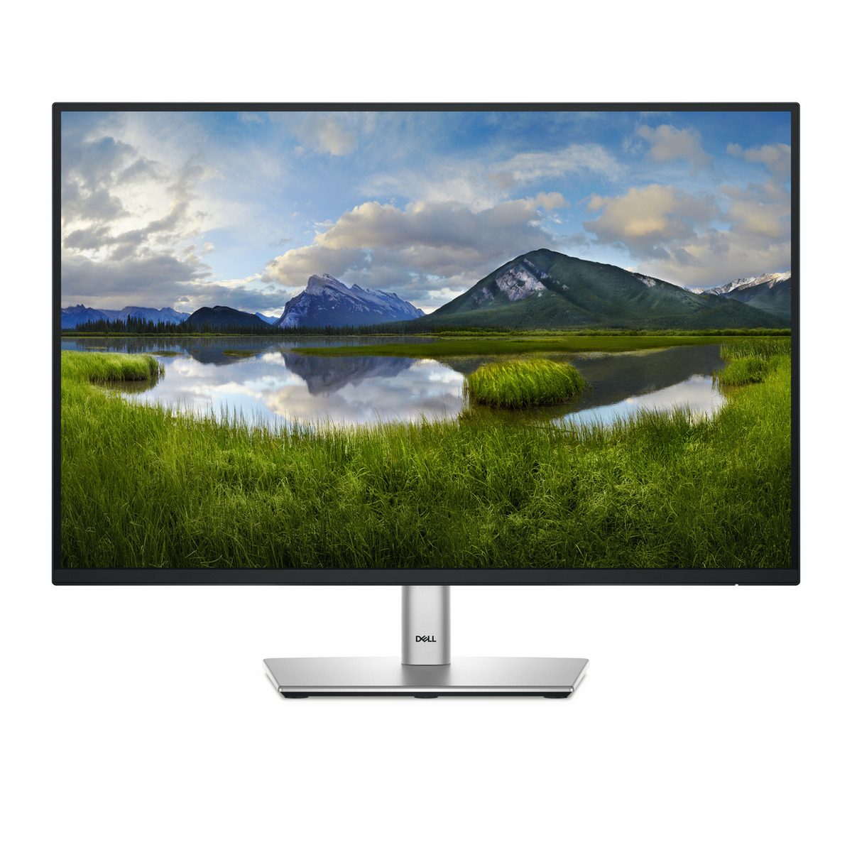 Dell Monitor P2425 / 210-BMJD Black