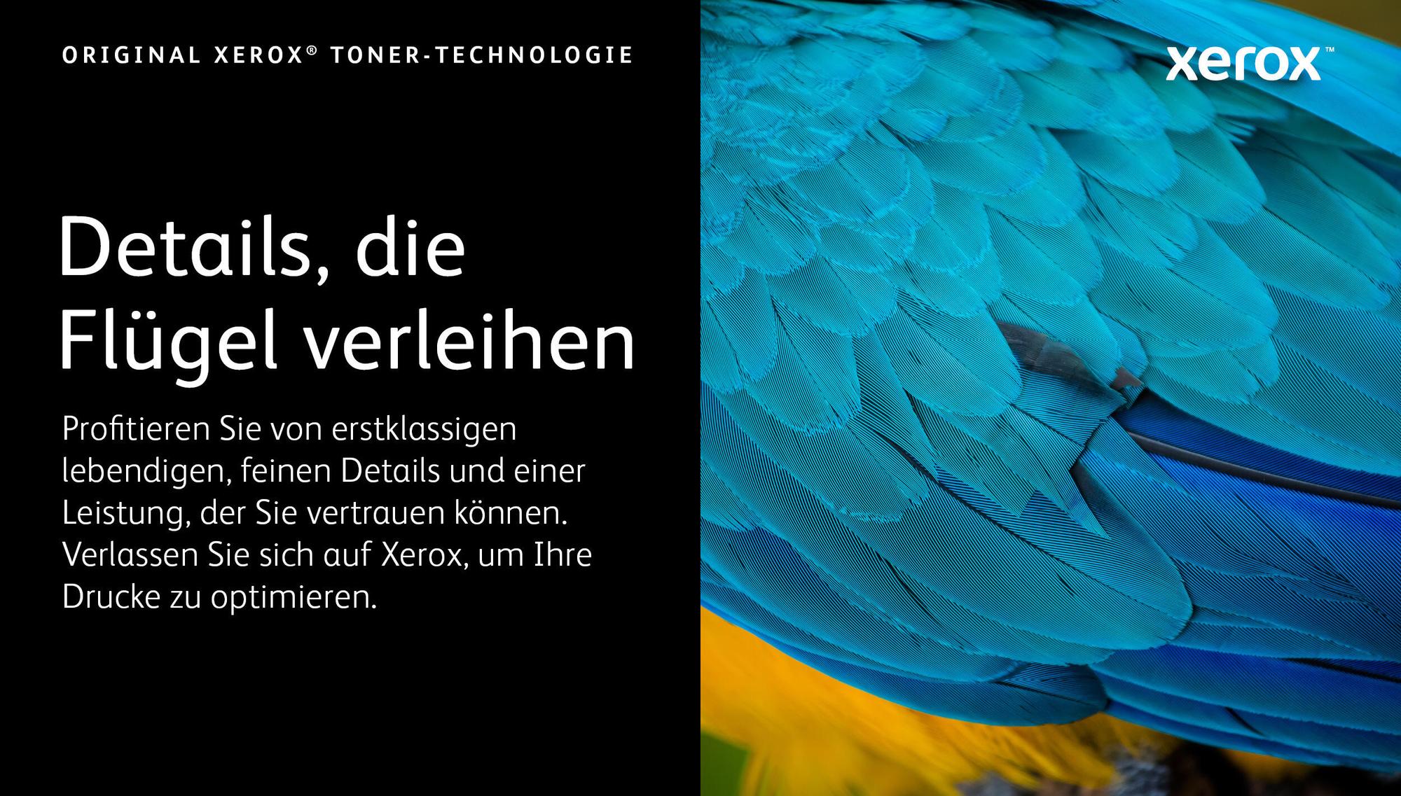Xerox Toner 006R04357 Cyan Standard